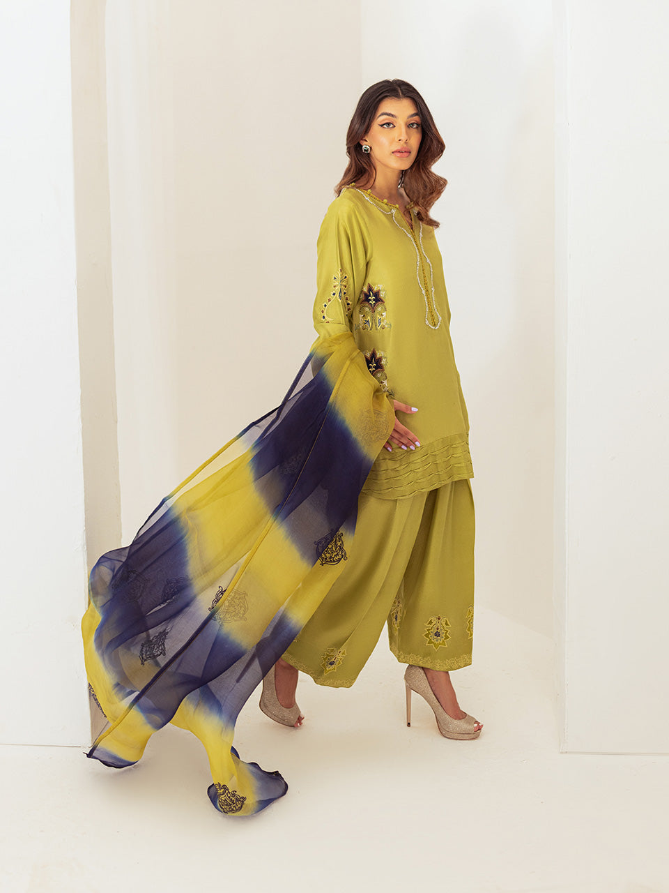 beautifully adorned organza dupatta