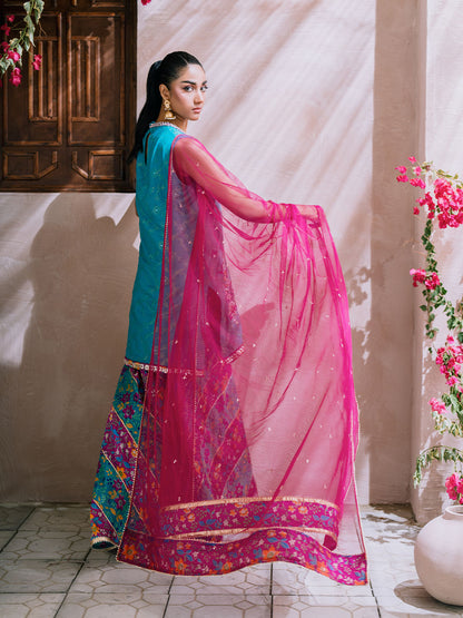 vibrant fuchsia net dupatta with chan details