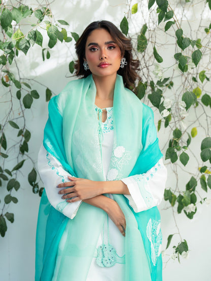 Shaded organza dupatta